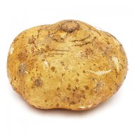Хикама